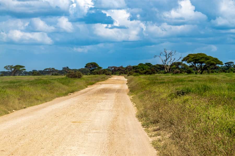 Nairobi: Amboseli National Park Tour & Maasai Village Visit - The early pickup and four-hour road journey