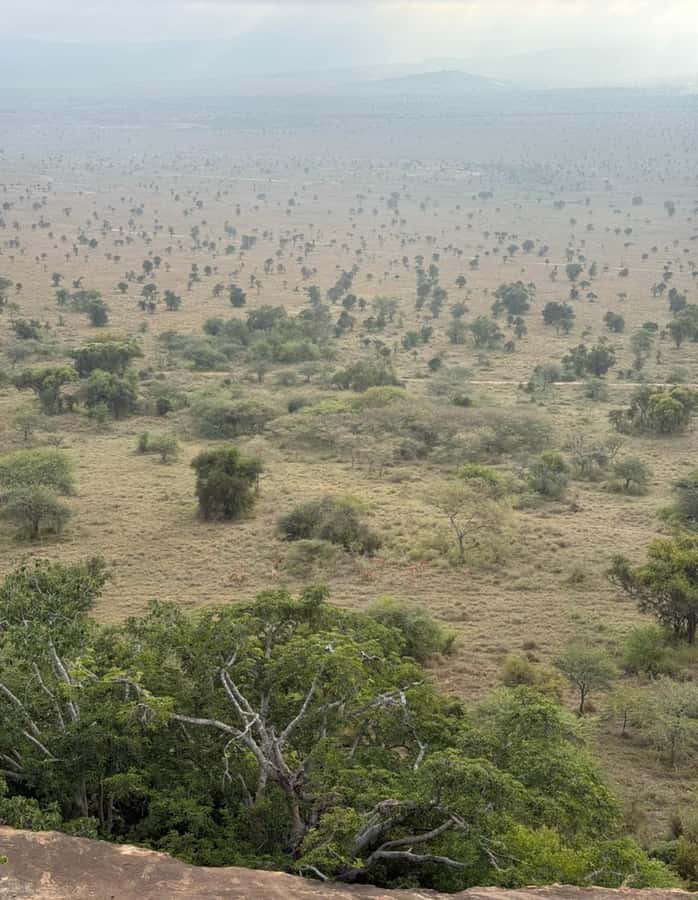 Nairobi: ATV/Quad Bike Wildlife Safari with Transfers & meal - Practical advice for a smoother ride