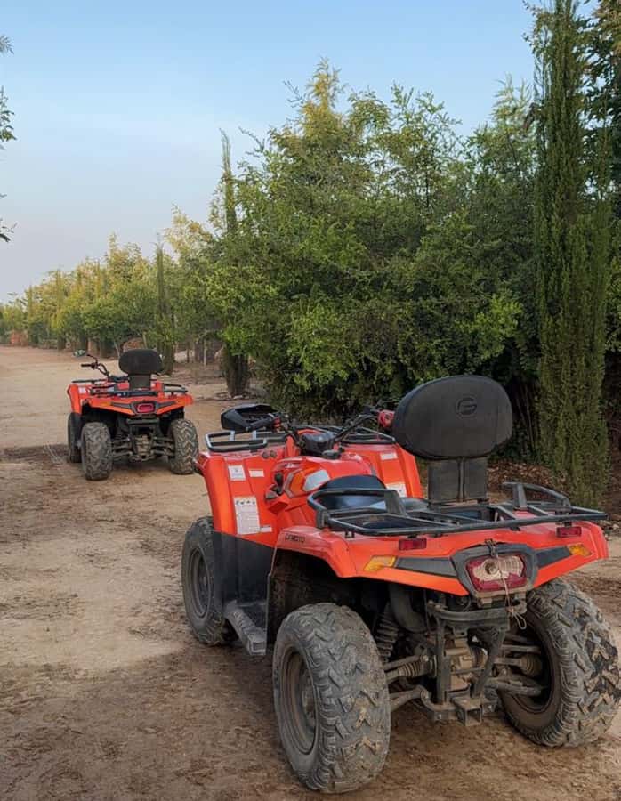 Nairobi: ATV/Quad Bike Wildlife Safari with Transfers & meal - Who will enjoy this outing most?