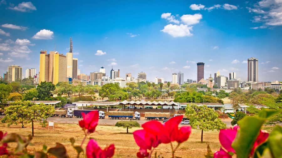 Nairobi City Guided Tour - Walking through the city center