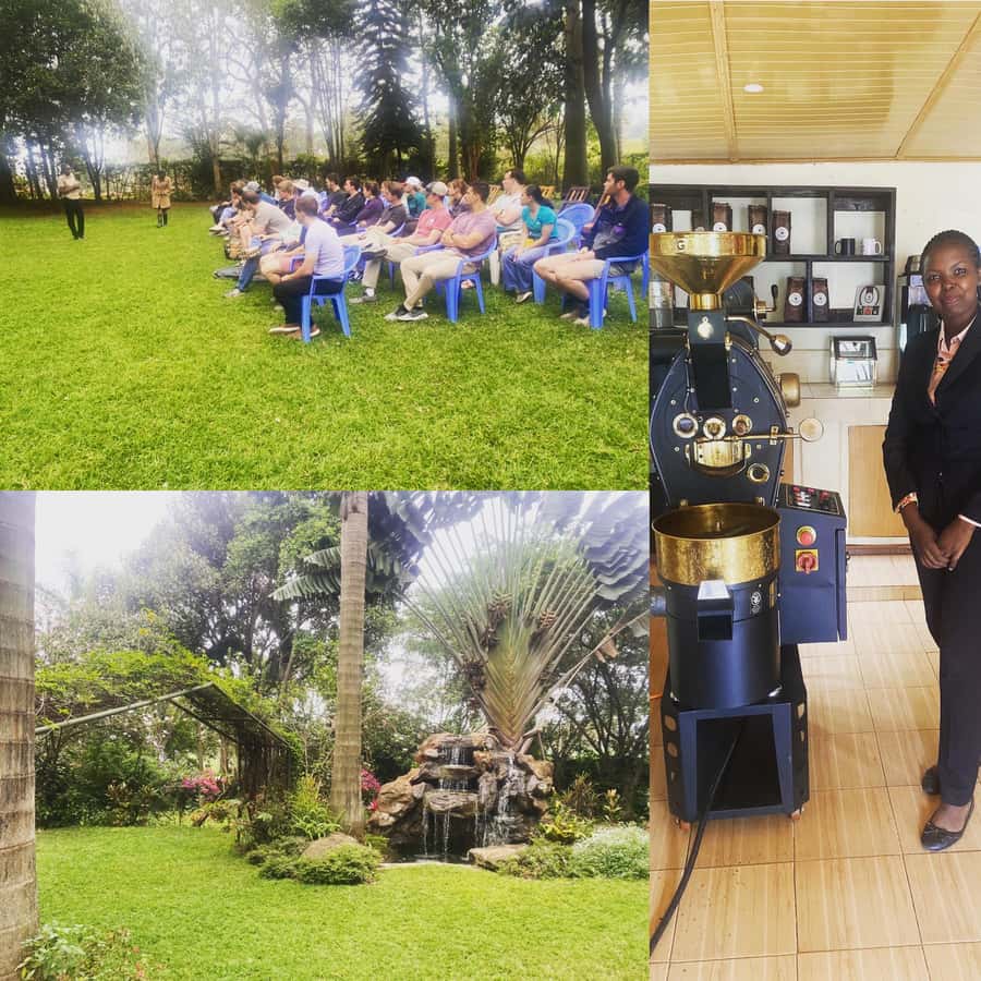 Nairobi: Coffee Factory and Farm Tour with Transfer - From coffee flower to ripe cherry