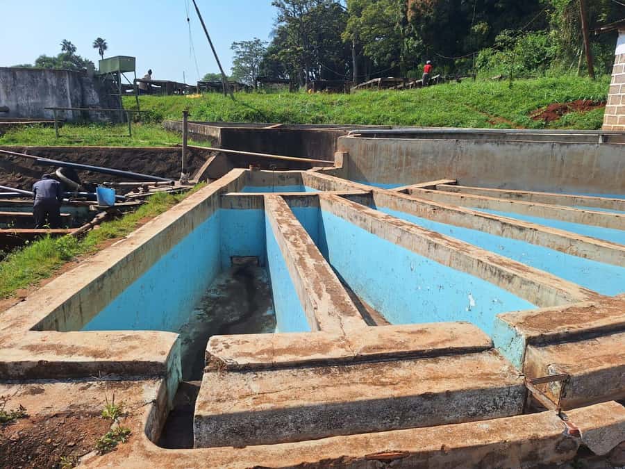 Nairobi: Coffee farm tour with pick up - Inside the processing center, from bean to roast