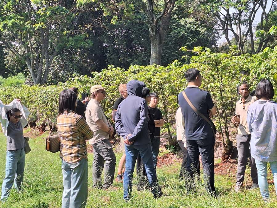Nairobi: Coffee farm tour with pick up - The guides can make or break the day