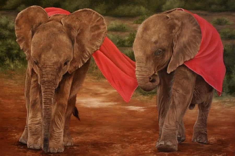 Nairobi: David Sheldrick Elephant Orphanage Visit - Why This Elephant Visit Matters
