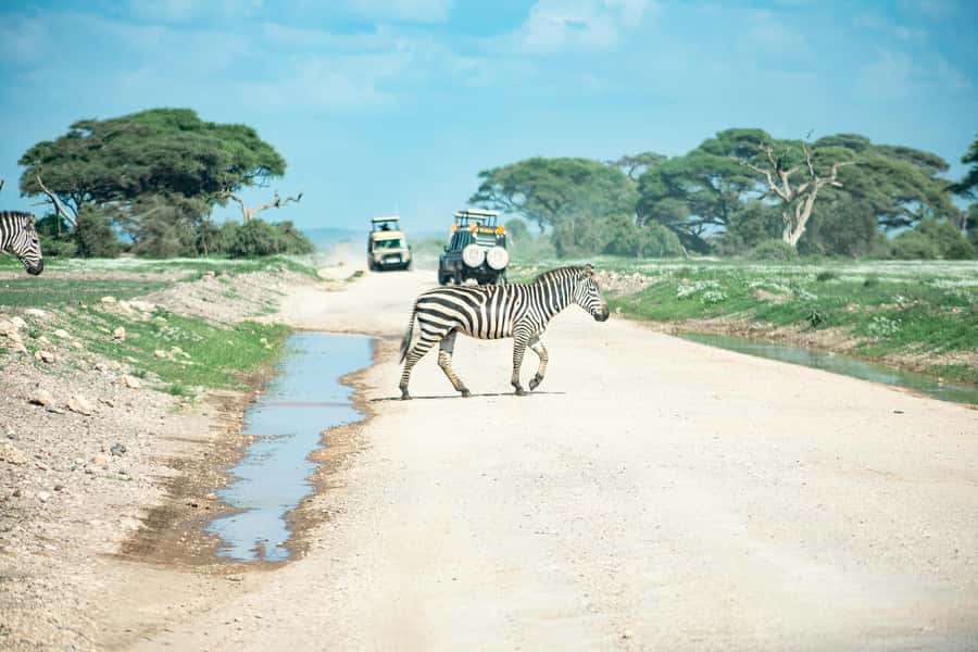 Nairobi: Day Tour to Amboseli National Park & Maasai Village - Guides, group size, and comfort