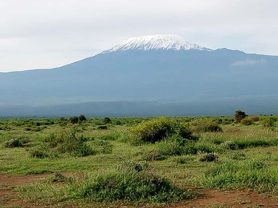 Nairobi: Day Trip to Amboseli National Park - Why Amboseli works as a day trip from Nairobi