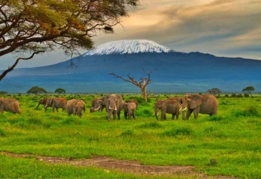 Nairobi:Day trip to Amboseli National park & Maasai village - The Amboseli game drive and its wide views