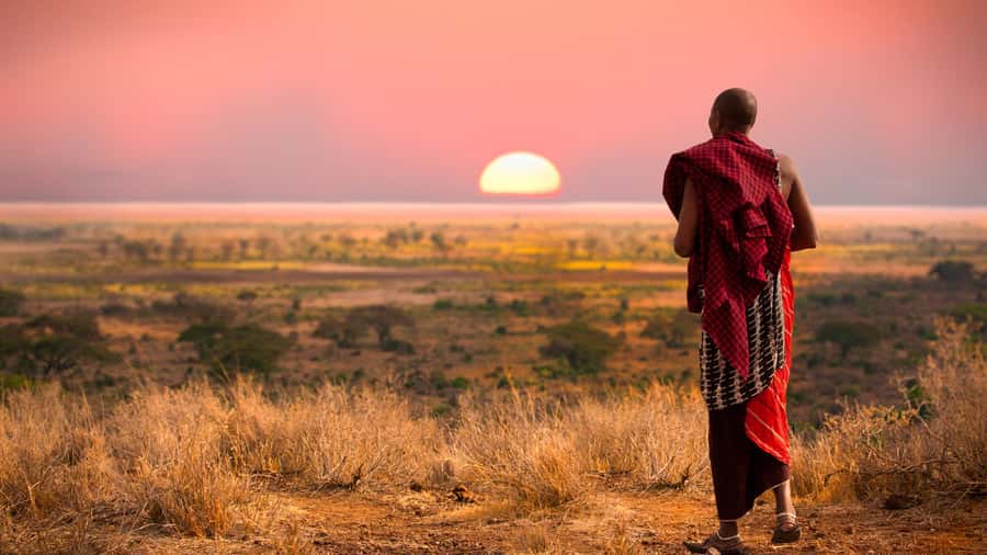 Nairobi: Day Trip to Maasai Mara Reserve & Maasai village - Why this one-day safari makes sense
