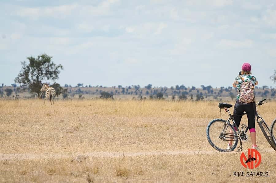 Nairobi: E-Bike/Cycling Wildlife Safari with Transfer & meal - The three-course meal by the river
