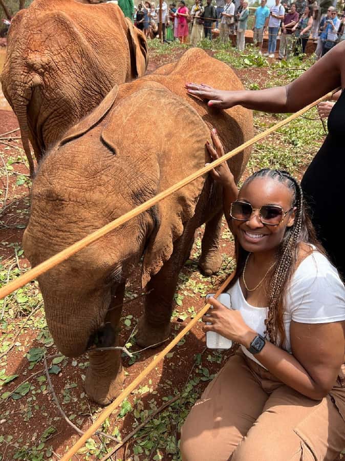 Nairobi: Elephant Orphanage, Beads Factory , giraffe center - Transport, Pickup Areas, and Timing