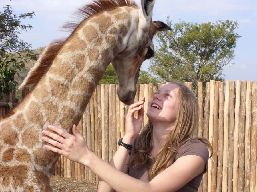 Nairobi: Elephant Orphanage Trust and Giraffe Center Tour - The one-hour elephant window
