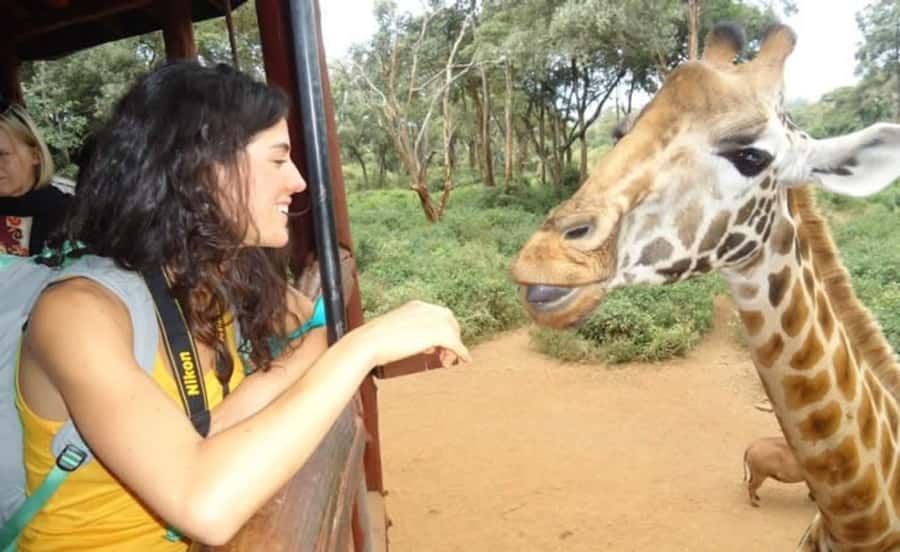 Nairobi: Elephant Orphanage Trust and Giraffe Center Tour - What the conservation fee does to the price