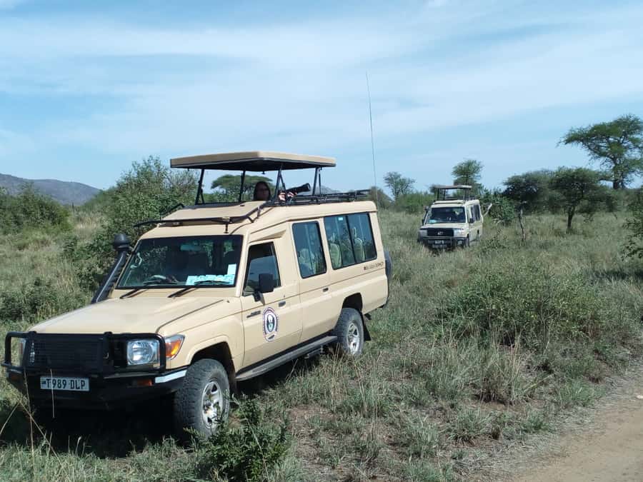 Nairobi: Elephants, Giraffes, Karen Blixen & Bomas Tour - Five things to know before you go