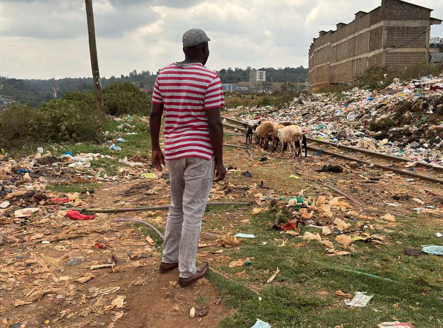 Nairobi: Explore Kibera Slum with Local Guides - Why This Kibera Tour Feels Different