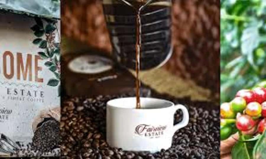 Nairobi: Fairview Coffee Estate Tour with Pickup - Leaving Nairobi for the Kiambu highlands