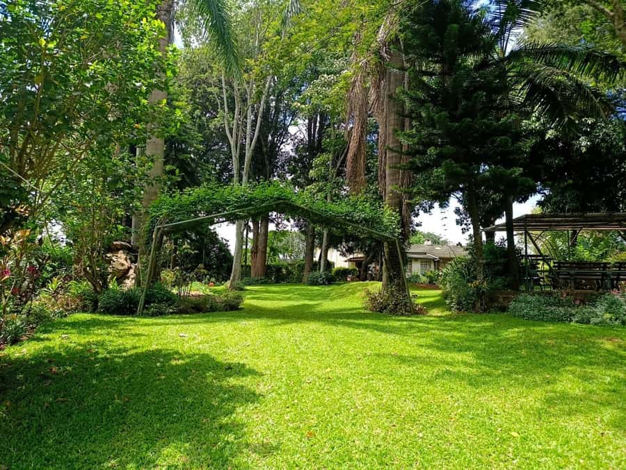 Nairobi: Fairview Coffee Estate Tour with Pickup - From coffee cherry to green bean at the mills