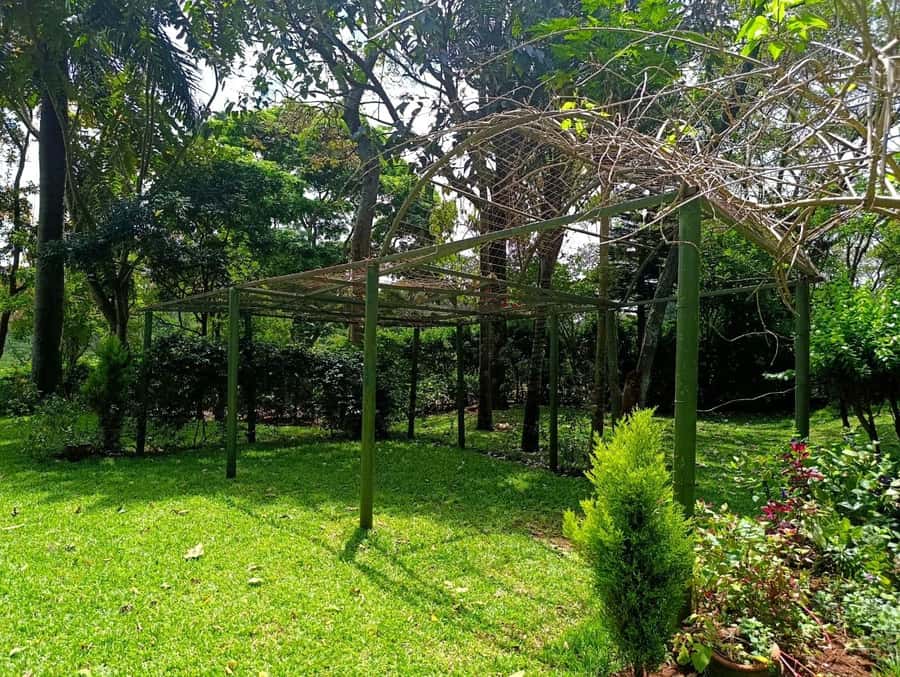 Nairobi: Fairview Coffee Estate Tour with Pickup - Who will enjoy Fairview most?