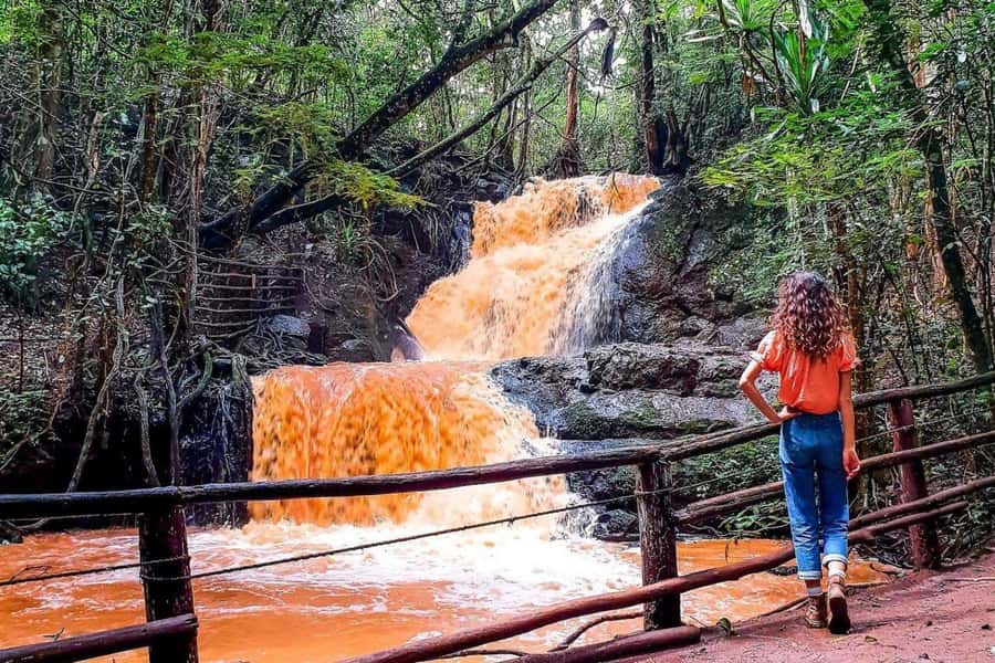 Nairobi: From Nairobi-Karura Forest Guided Walking Tour - Key points to know before you book