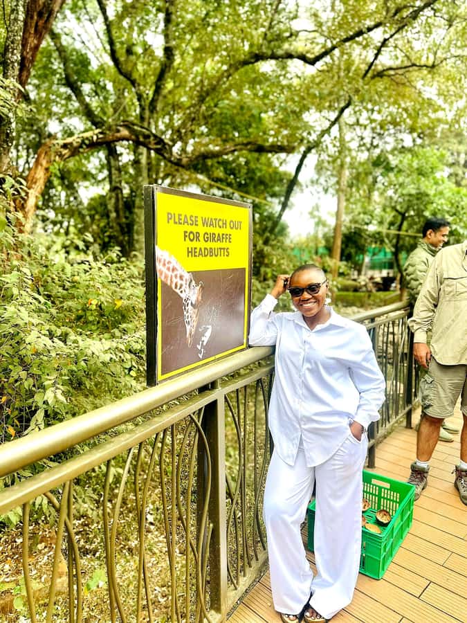 Nairobi: Game drive, elephant Orphanage & giraffe centre. - Feeding Giraffes at the Giraffe Centre