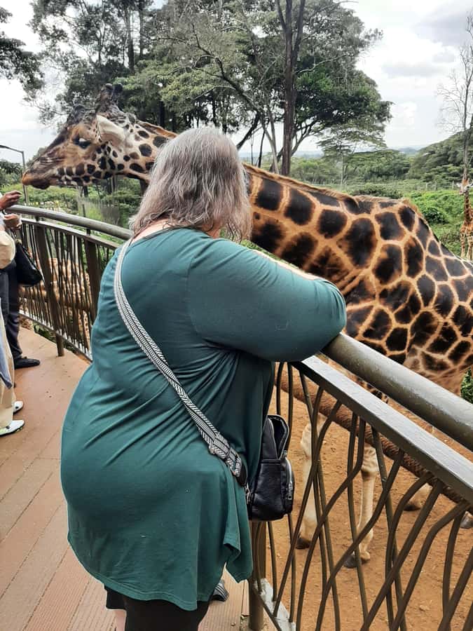 Nairobi: Game drive, elephant Orphanage & giraffe centre. - Should You Book This Nairobi Wildlife Tour?