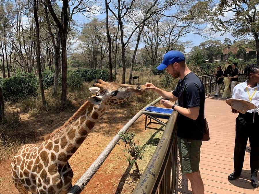 Nairobi:Giraffe Center, Baby Elephant and Beads factory Tour - Three Nairobi stops in five hours