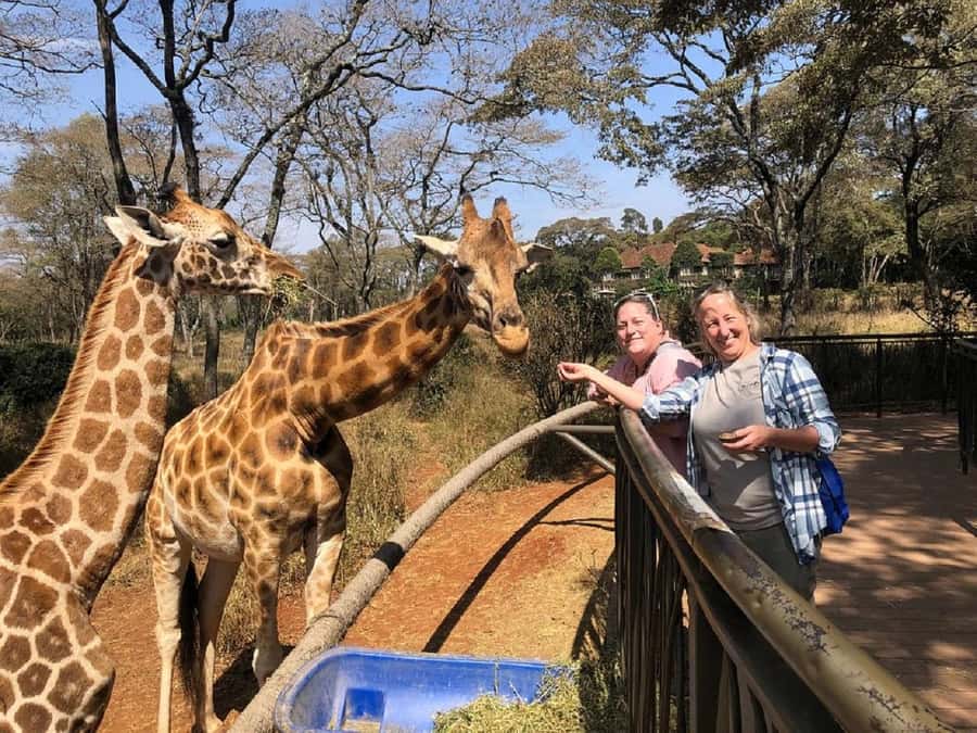 Nairobi:Giraffe Center, Baby Elephant and Beads factory Tour - Pickup, driving, and the real timetable