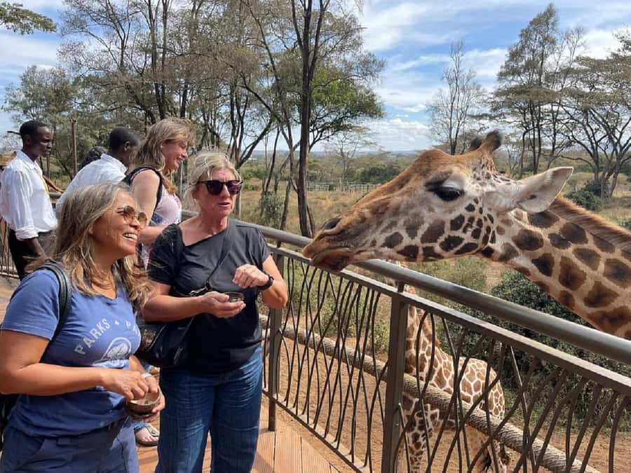 Nairobi:Giraffe Center, Baby Elephant and Beads factory Tour - Should you book this Nairobi animal and bead tour?
