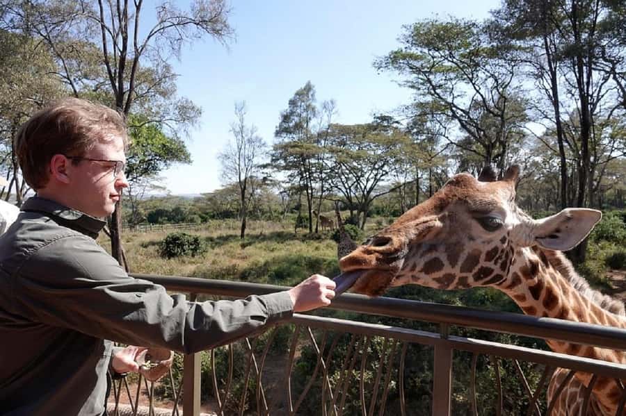 Nairobi:Giraffe Center, Baby Elephant and Beads factory Tour - Meeting the giraffes at the Giraffe Centre