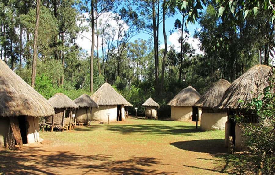 Nairobi: Giraffe Center, Beads Factory & Bomas of Kenya Tour - Traditional music and dance at Bomas of Kenya