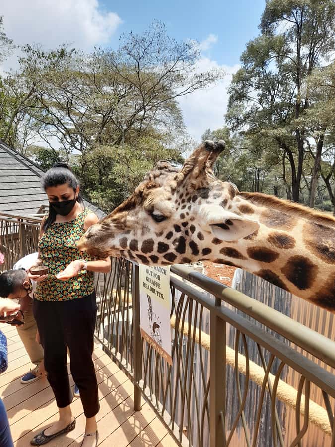 Nairobi: Giraffe Center, Beads Factory & Bomas of Kenya Tour - Simple ways to prepare for the day