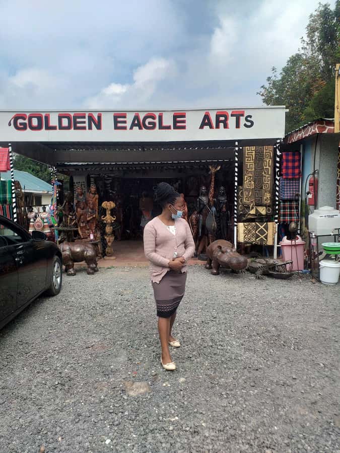 Nairobi: Giraffe Center, Beads Factory & Bomas of Kenya Tour - What the guide service adds