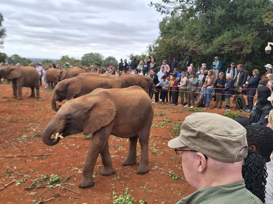 Nairobi: Giraffe Center, Elephant Orphanage, and Beads Tour - Why this Nairobi half-day makes sense