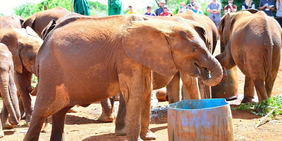 Nairobi: Giraffe Center, Elephant Orphanage and Bomas Tour - Seeing Kenyan craft at Kazuri Beads Factory