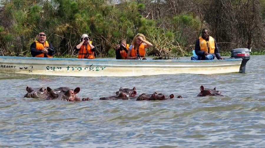 Nairobi:Group Hell's Gate National Park & Lake Naivasha Tour - Why this Nairobi day trip works