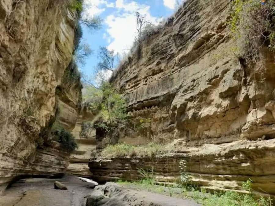 Nairobi:Group Hell's Gate National Park & Lake Naivasha Tour - Walking beneath the parks narrow gorges