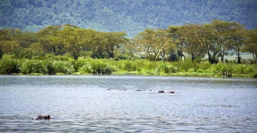 Nairobi:Group Hell's Gate National Park & Lake Naivasha Tour - The Great Rift Valley viewpoint starts the day