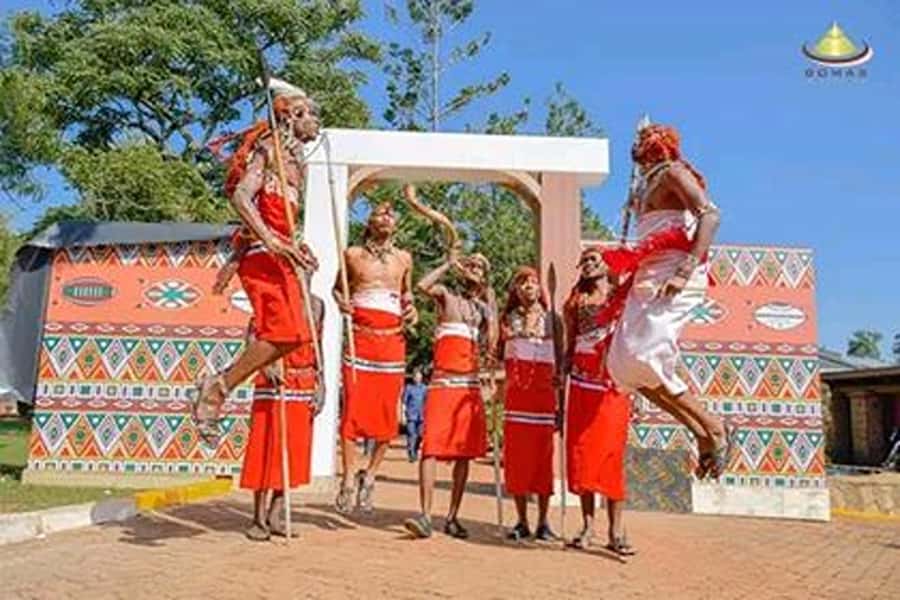 Nairobi: Guided Afternoon Tour to Bomas of Kenya. - Why Bomas of Kenya Makes Sense for a Short Nairobi Visit