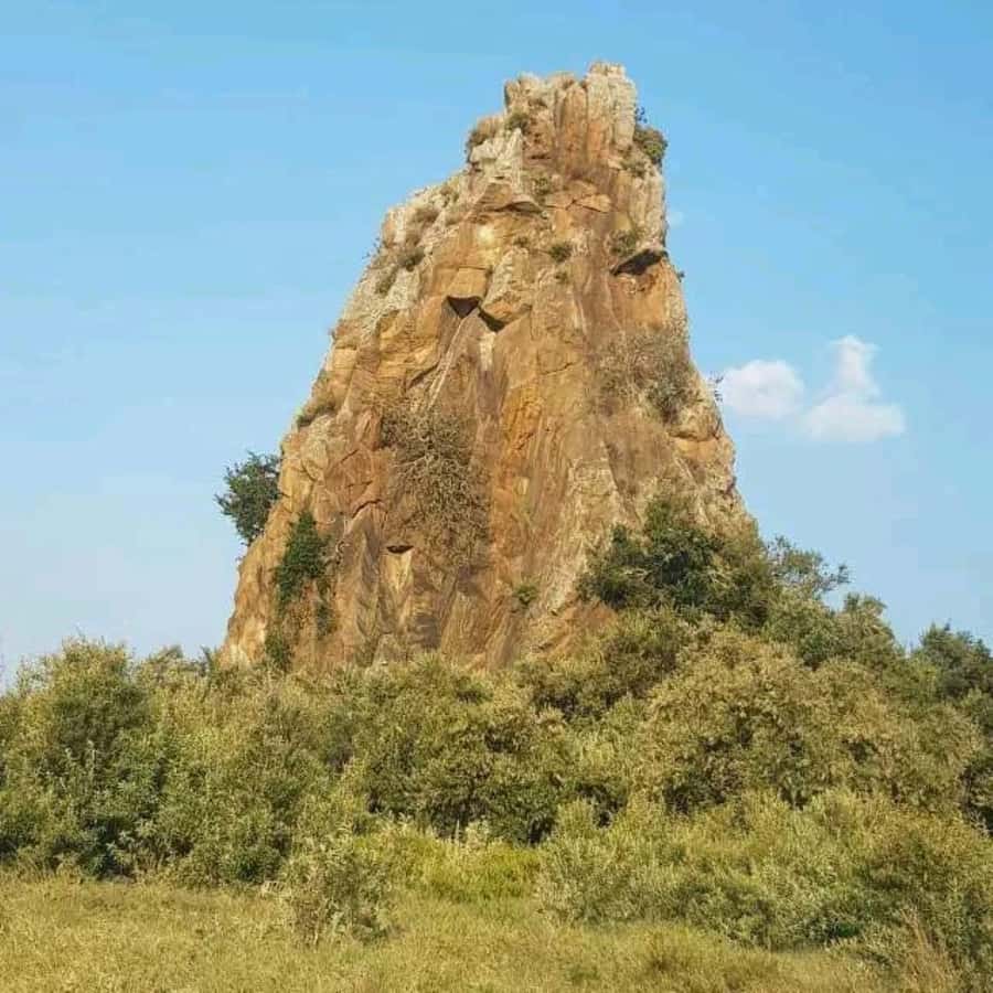 Nairobi: Hell's Gate National Park and Lake Naivasha Tour - Key points at a glance