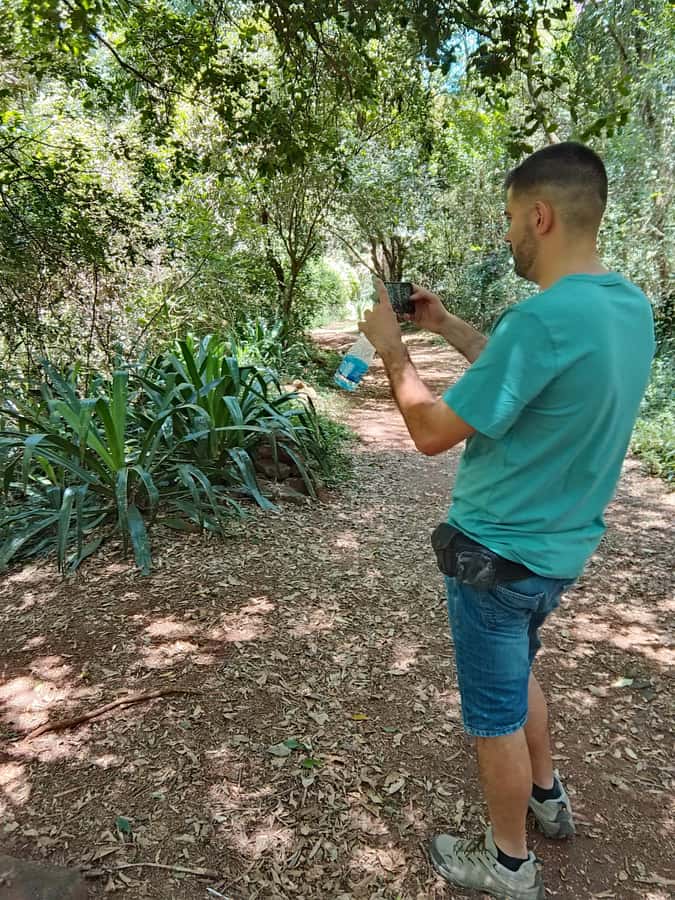 Nairobi: Karura Forest Guided Walking Tour - Following the bamboo and pine trails