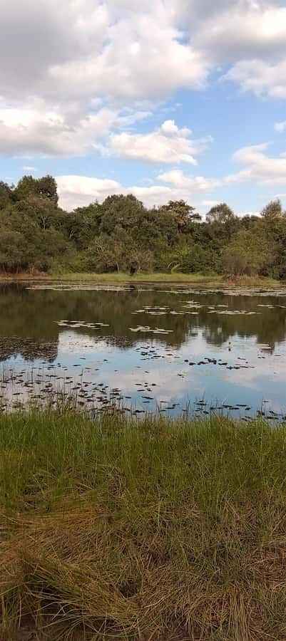 Nairobi: Karura Forest Guided Walking Tour - Who should book this forest walk?