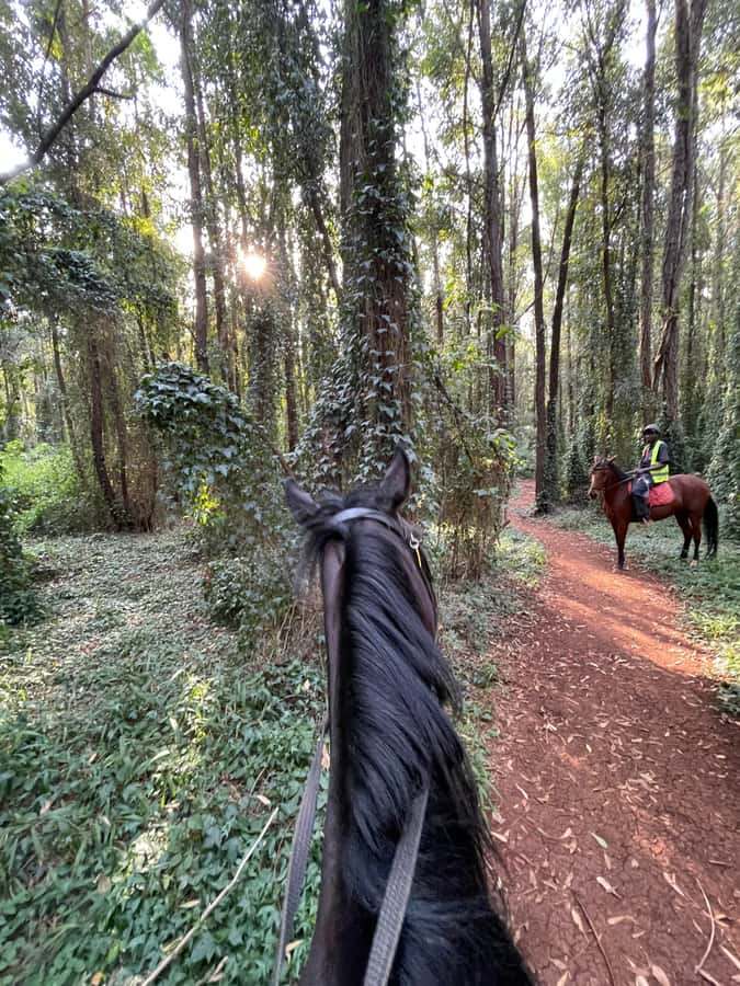 Nairobi: Karura Forest Horseback Riding Tour - Key points to know before you book