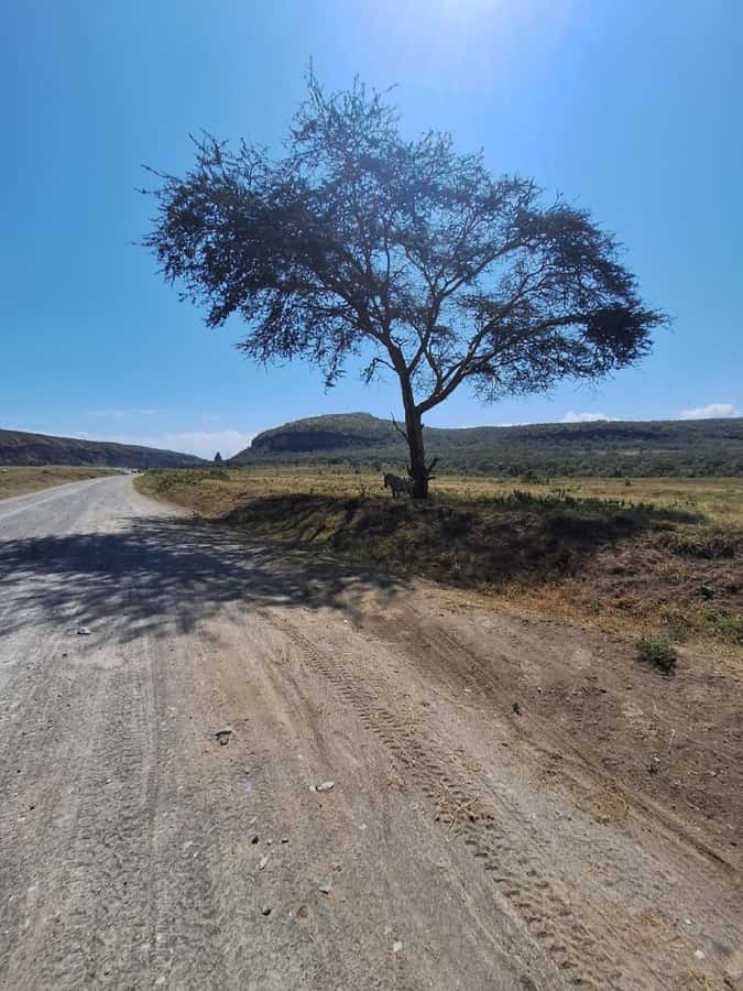 Nairobi: Lake Naivasha & Hell’s Gate National Park Day Trip - Fischer’s Tower and the park’s volcanic cliffs