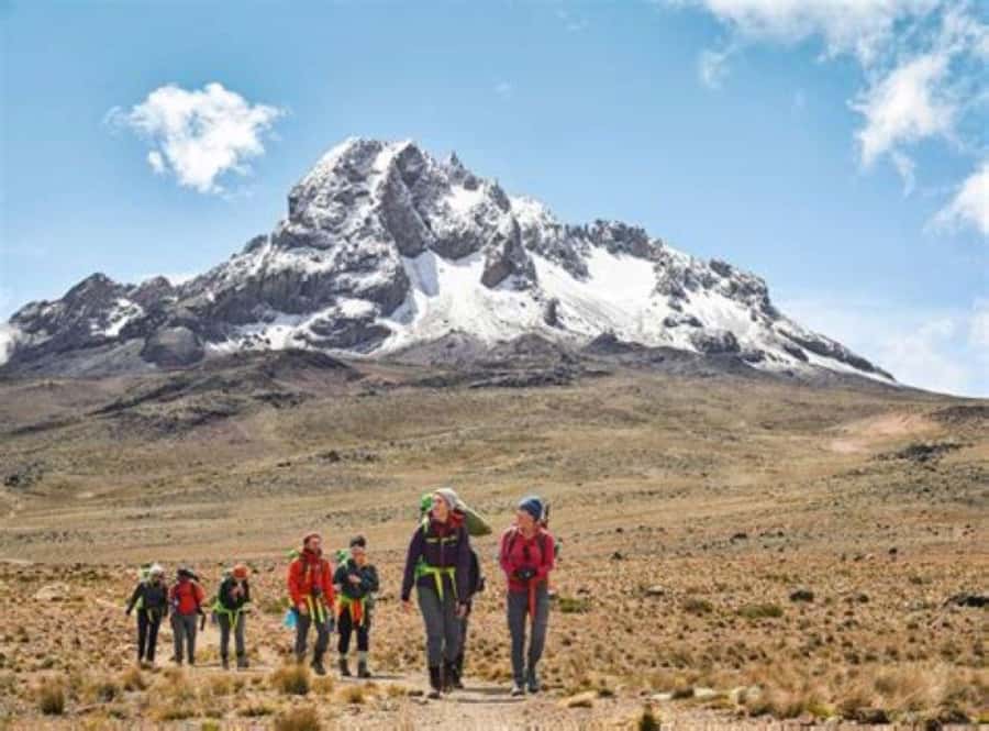 Nairobi: Mount Kenya Day Hike with Lunch - Key points to know before you book