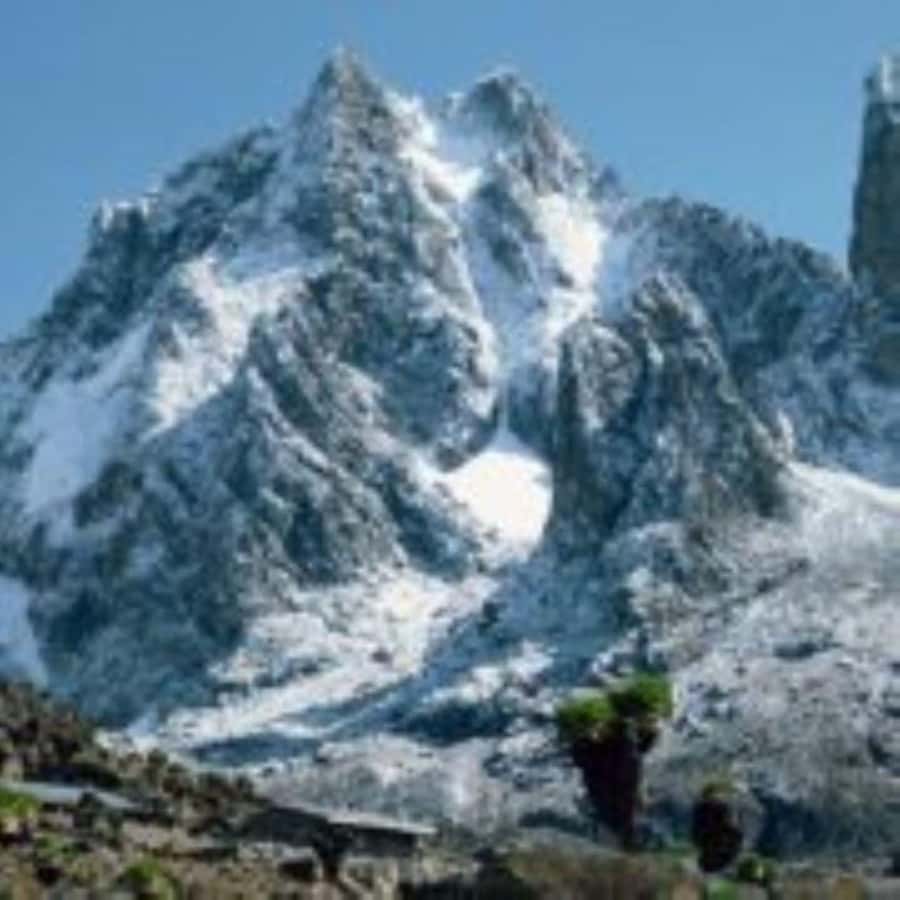 Nairobi: Mount Kenya Day Hike with Lunch - Forest, bamboo, rosewood, and heather zones