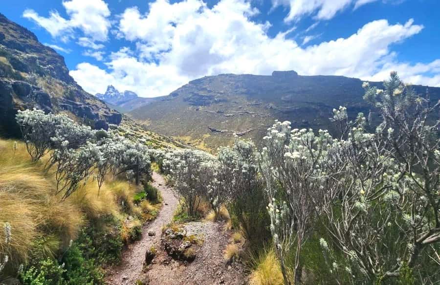 Nairobi: Mount Kenya Day Hike with Lunch - The high point, Old Moses Camp, and the Batian view