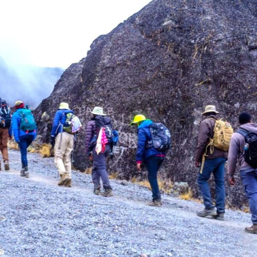 Nairobi: Mount Kenya Day Hike with Lunch - The descent and return to Nairobi