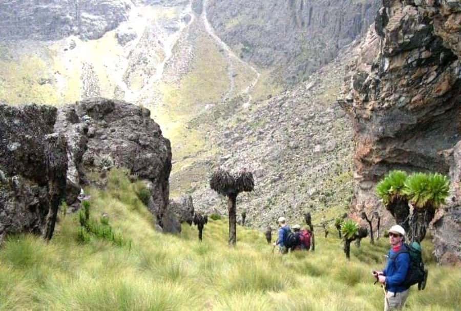 Nairobi: Mount Kenya Day Hike with Lunch - Who will enjoy this hike most