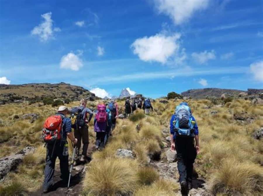 Nairobi: Mount Kenya Day Hike with Lunch - The 6 a.m. departure from Nairobi