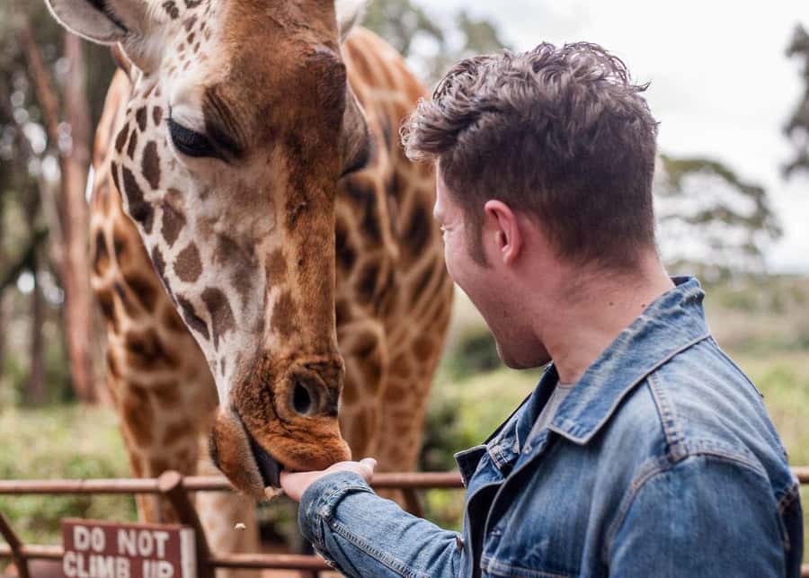 Nairobi: Museum, KICC, Giraffe Centre & Bomas of Kenya Tour - Five useful things to know before booking
