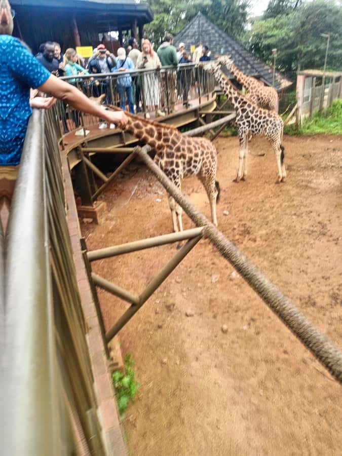 Nairobi: Museum, KICC, Giraffe Centre & Bomas of Kenya Tour - Taking a lunch break in Nairobi